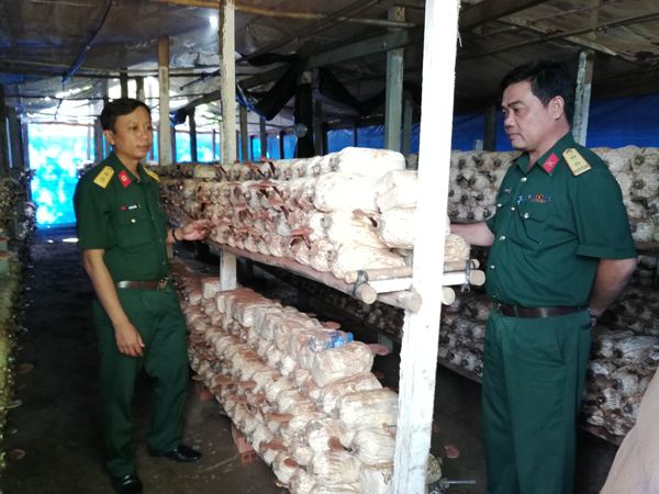 Can-bo-chien-si-tang-gia-thu-nhap-voi-mo-hinh-trong-nam-Linh-Chi-1.png